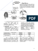 Histologia Vegetal