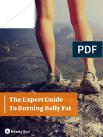 The Expert Guide To Burning Belly Fat PDF