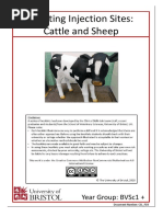 Locating Cattle and Sheep Injection Sites