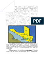 Guyana Offshore A Potential Dead End