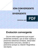 Evolucio N Convergente y Divergente