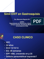 Simil Exit en Gastrosquisis Dra Macarena Negrete Hill Archivo