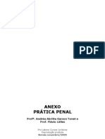 Penal - Anexo - Padrão