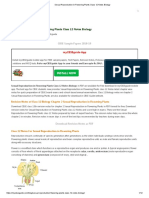 Sexual Reproduction in Flowering Plants Class 12 Notes Biology