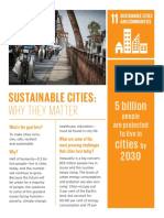 Sustainable Cities:: Why They Matter