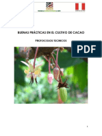 Manual de Protocolos Técnicos de Cacao