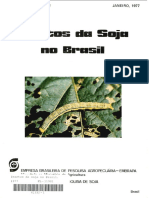 Insetos Da Soja-Brasil PDF