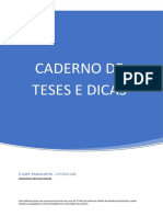 Caderno de Teses e Dicas - XXVIII