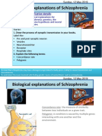 Biological Explanations of Schizophrenia