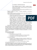 Dc3. TEMA. Modos de Perder Dominio y Derechos Reales. 2009