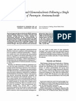 Focal Single Intravenous Aminonucleoside: Following Dose Puromycin