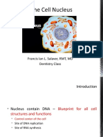 Nucleus Presentation