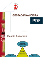 Gestão Financeira Estgv-Ipv PDF