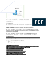 Clasificación de Las Flores