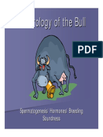 Andrology Bull