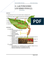 Organismos Autotrofos y Heterotrofos