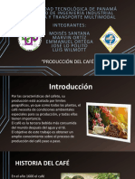 Producción Del Café