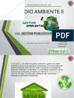 Gestion Ambiental Publico y Privado