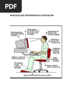 Musculos Que Intervienen en La Digitación