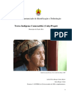 Relatorio Funai PDF