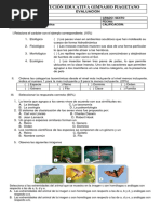 Evaluación Guia Taxonomia Sexto - Biologia