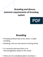 Define Brooding and Discuss Different Requirements of Brooding System