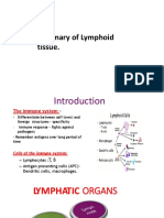 Lymphoid Tissue