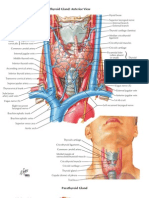 Thyroidectomy