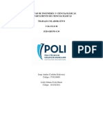 Trabajo Colaborativo - Calculo - 2 PDF