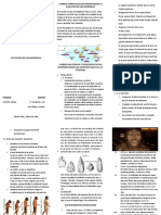 Evolución de Los Homínidos 2