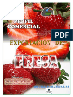 Proyecto Exportacion de Fresa