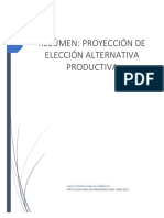 Resúmen Proyección de Elección Alternativa Productiva