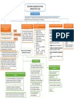 Mapa Conceptual