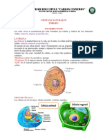 Ciencias Naturales Vii Grado Materia