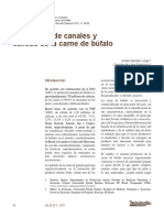 Evaluación de Canales y Calidad de La Carne de Búfalo