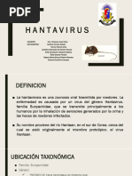 Hantavirus Trabalho