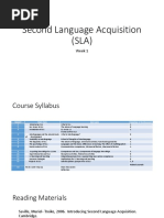 Second Language Acquisition (SLA)