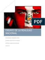 Ensayo Sobre Realidad Nacional