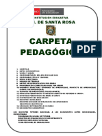 Capeta Pedagogica - Ed Secundaria