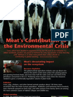 Meat and Environmental Destruction