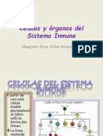  Células y Órgano Del Sistema Inmune 