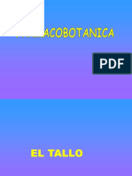 El Tallo-1