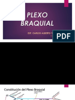 Plexo Braquial Diapositivas