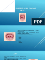 Instrumental Utilizado en Endodoncia