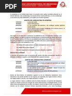 Capitulo Mediastino PDF