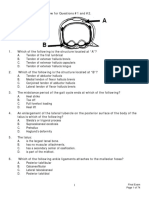 LEA Review Questions and Key