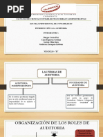 ..Las Firmas de Auditoria y Roles de Auditoria Interna y Externa