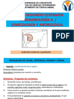 Cert 2 Teriogenología