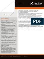 Ds Zoneflex r300 Es PDF