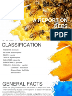 Bees